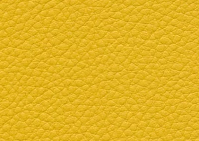 F6471013
